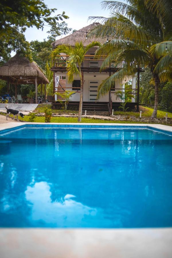 Royal Palm Bacalar Cabanas & Lagoon Club エクステリア 写真